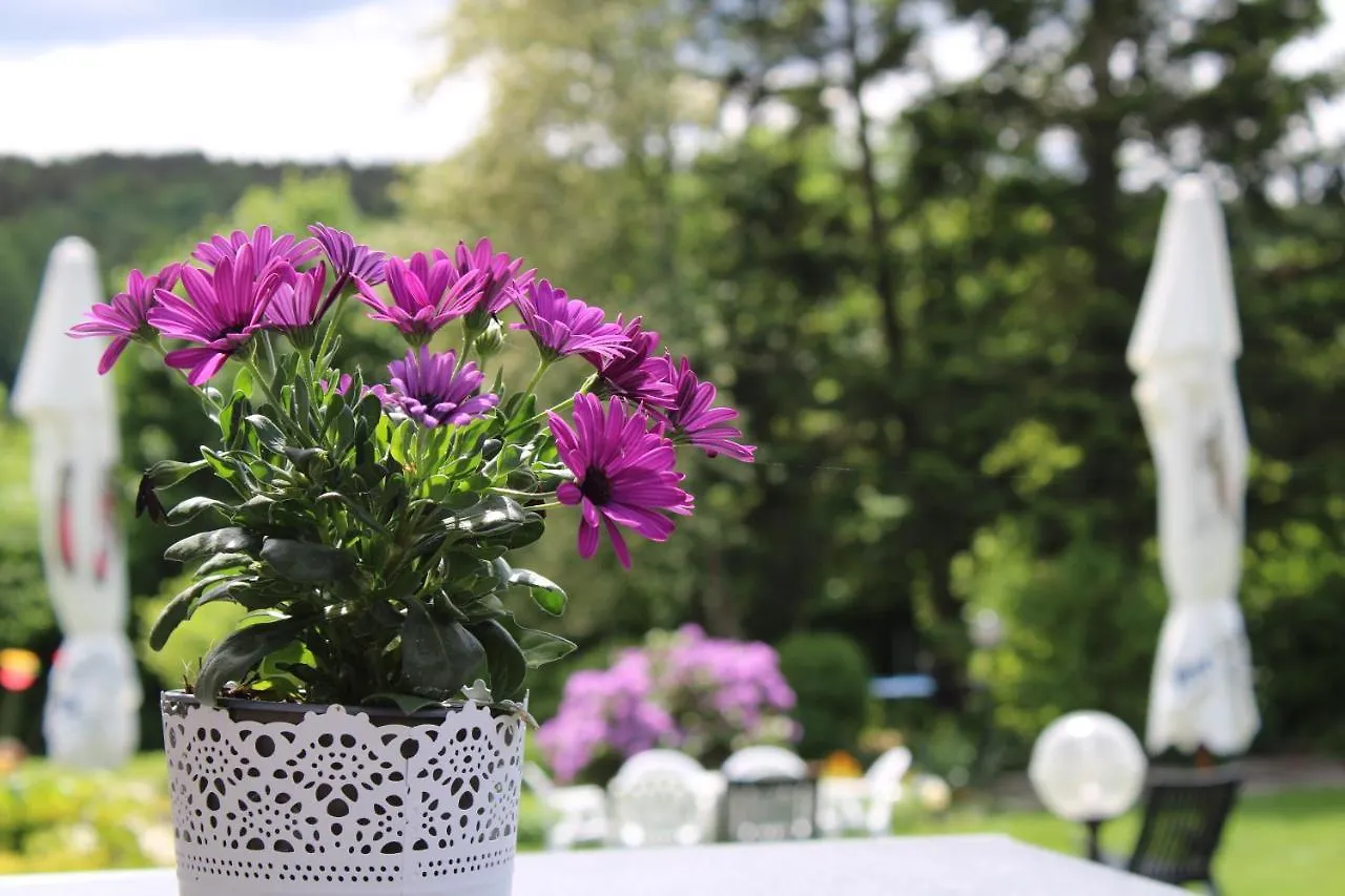 Hotel Landhotel Hubertus Unterelsbach