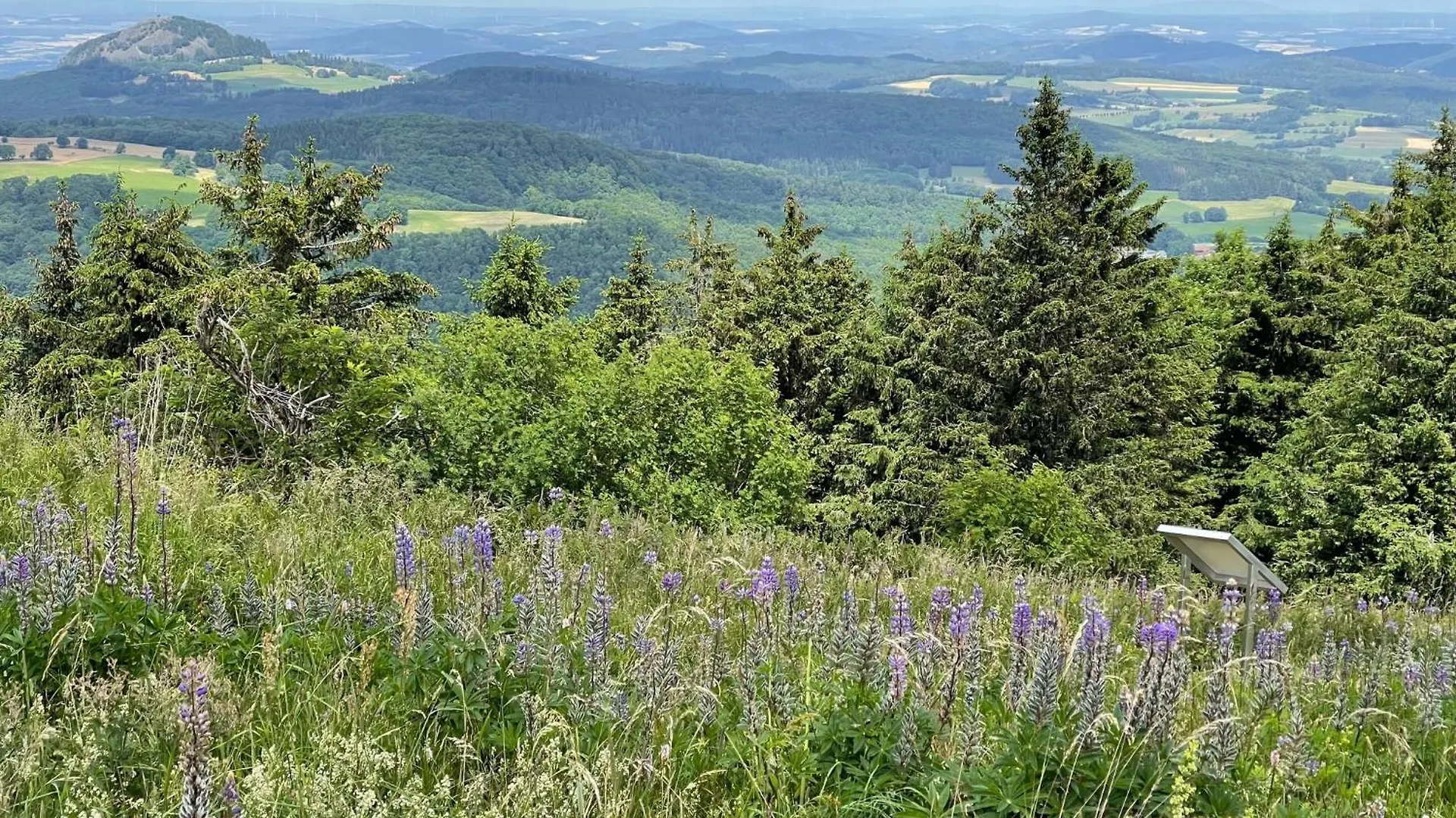 Landhotel Hubertus Unterelsbach Deutschland