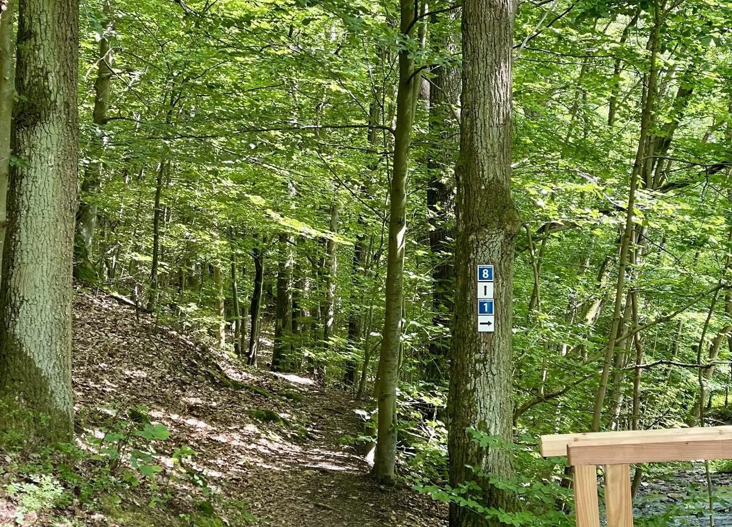 Landhotel Hubertus Unterelsbach